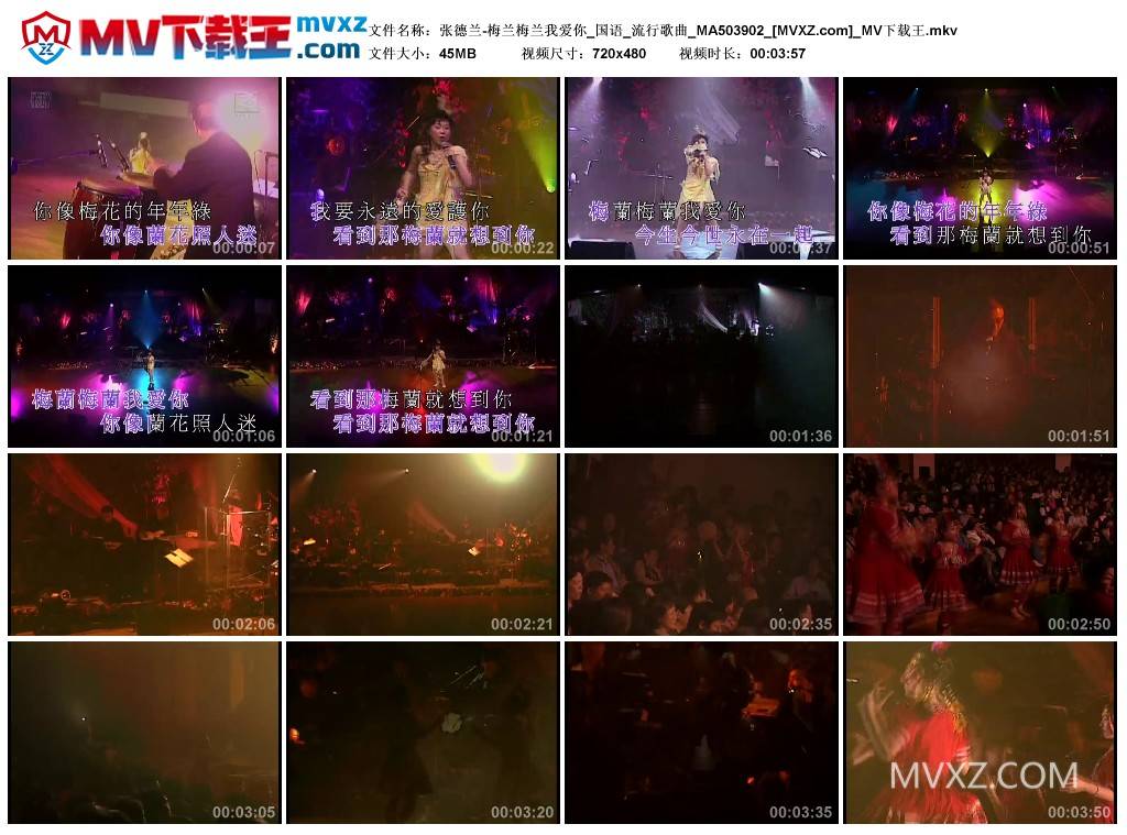 张德兰-梅兰梅兰我爱你_国语_流行歌曲_MA503902